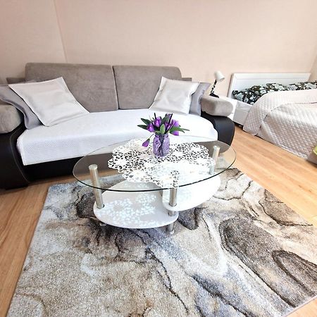 Aparthouse Apartamenty Centrum Sosnowiec Bagian luar foto