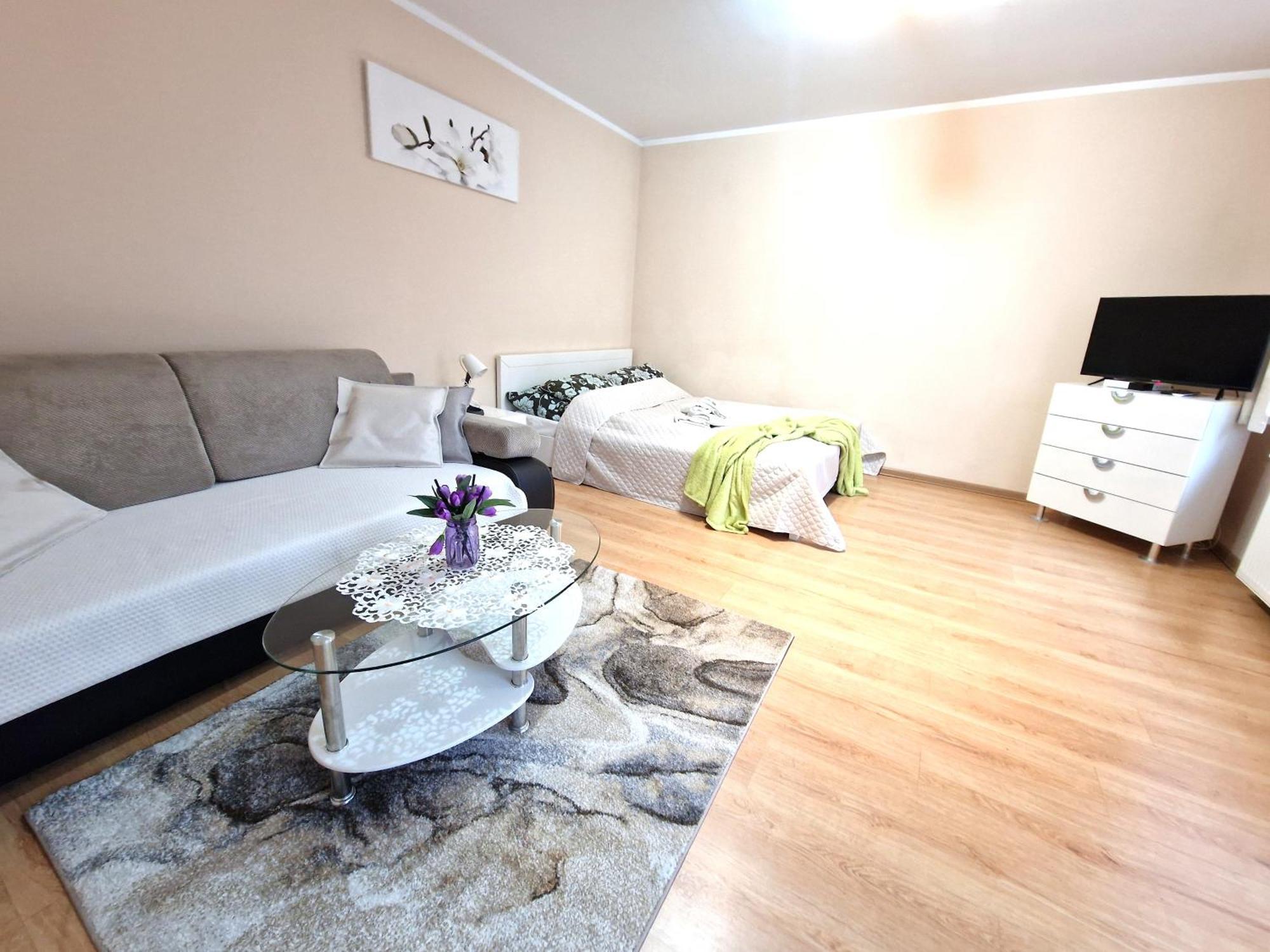 Aparthouse Apartamenty Centrum Sosnowiec Bagian luar foto